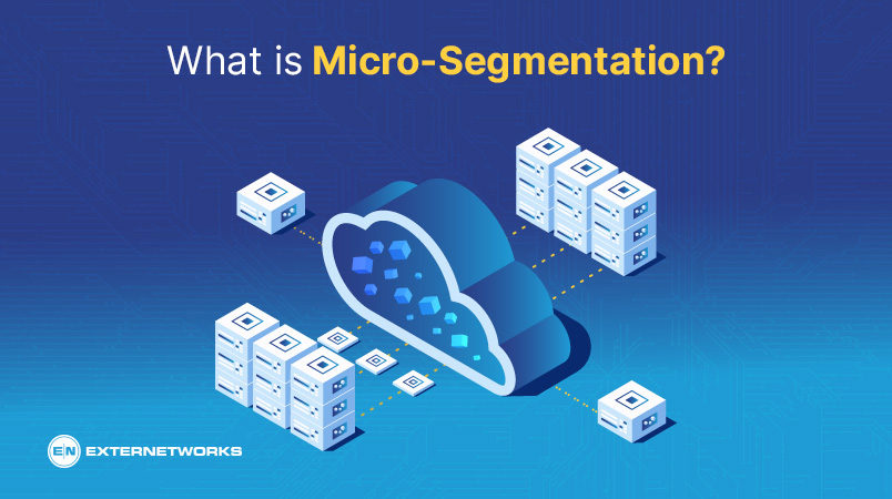 Micro-Segmentation