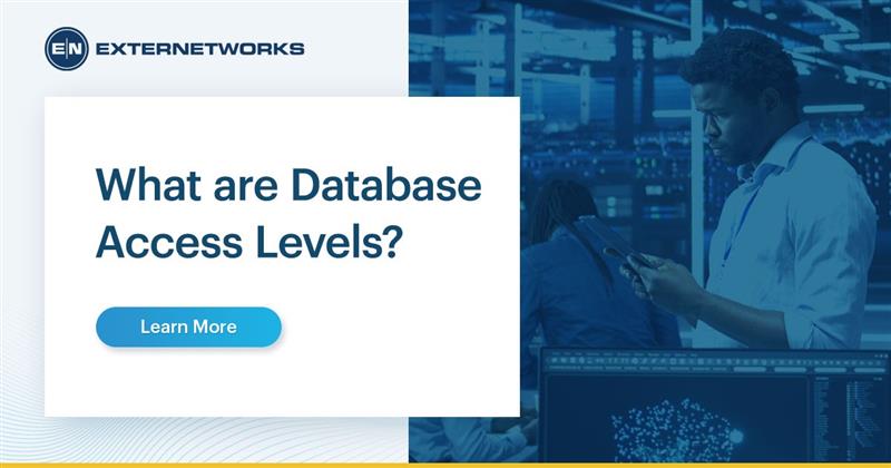 What are Database Access Levels?