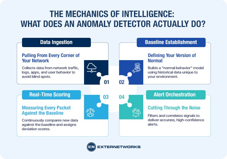 The Mechanics of Intelligence: What Does an Anomaly Detector Actually Do?