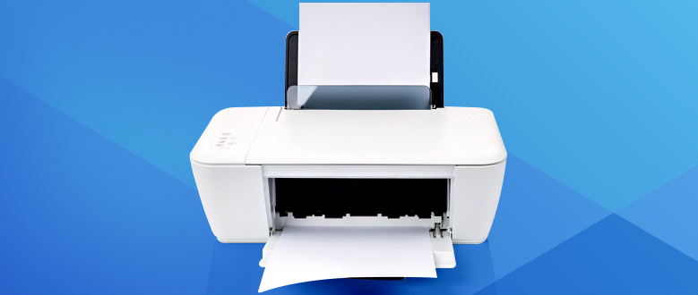 Printer Setup Services From 41-80 LBS