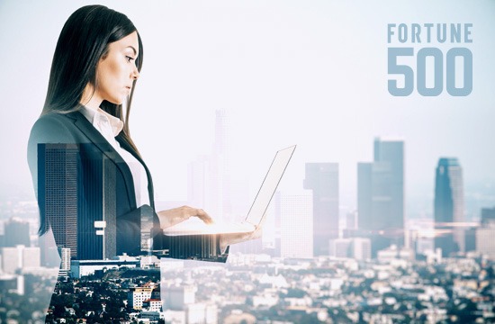 Fortune 500