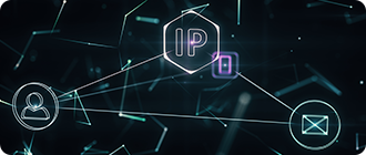 IP Services - Managed Fiber Services